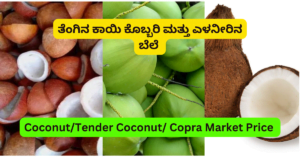 Coconut Copra Wholesale Market Price