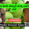 Dry Coconut, Coconut, and Tender Coconut Rate