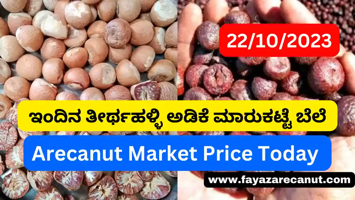 Adike Market Rate Today in Tirthahalli