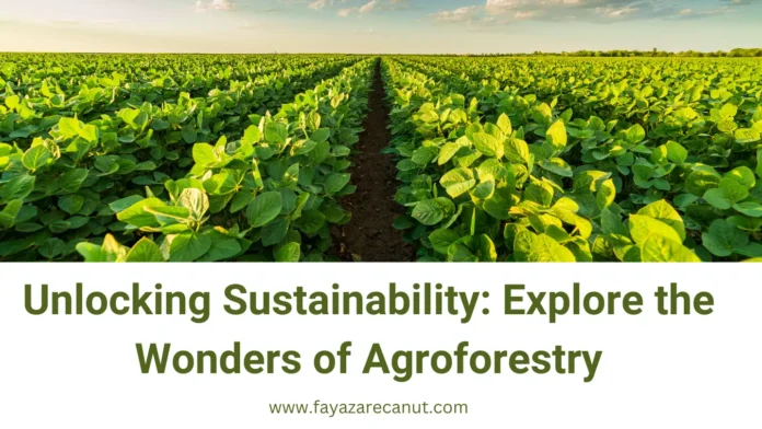 Unlocking Sustainability: Explore the Wonders of Agroforestry