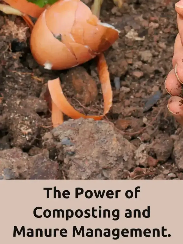 From Waste to Wonder: The Secret Life of Composting and Manure Magic!