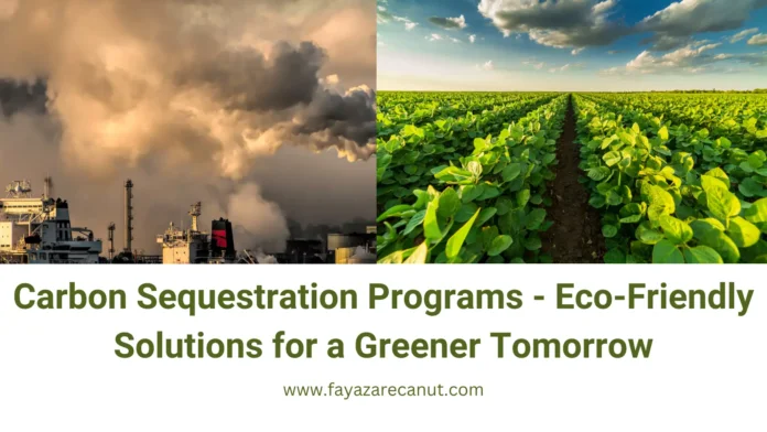 Carbon Sequestration Programs - Eco-Friendly Solutions for a Greener Tomorrow