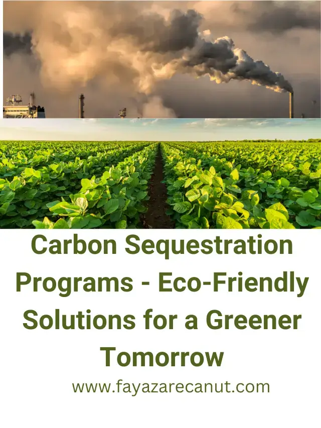 Carbon Sequestration Programs – Eco-Friendly Solutions for a Greener Tomorrow