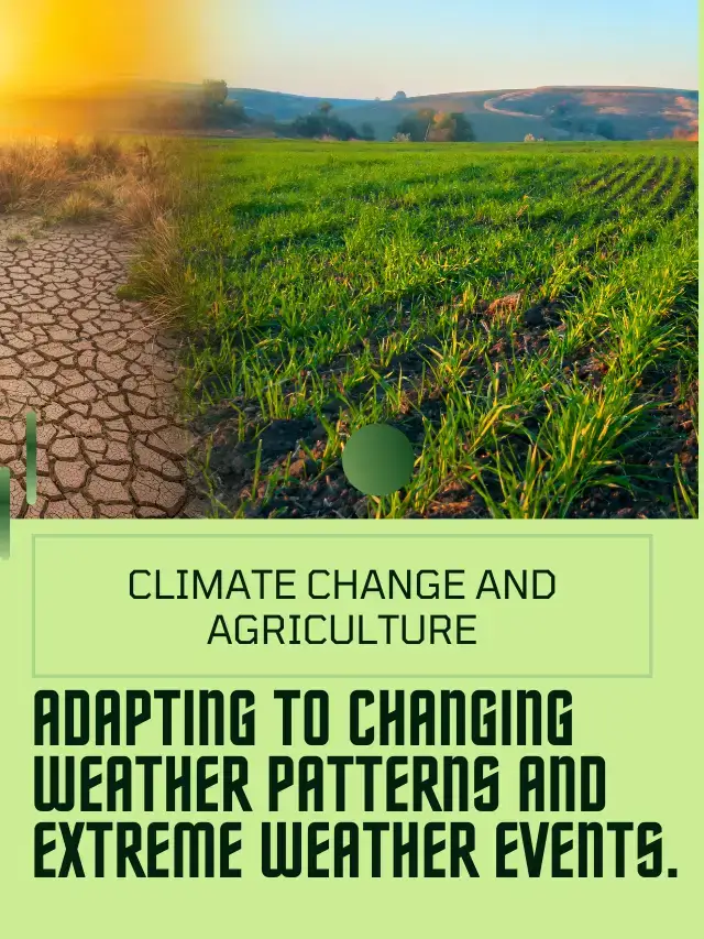 Climate Change and Agriculture: Adapting to changing weather patterns and extreme weather events.