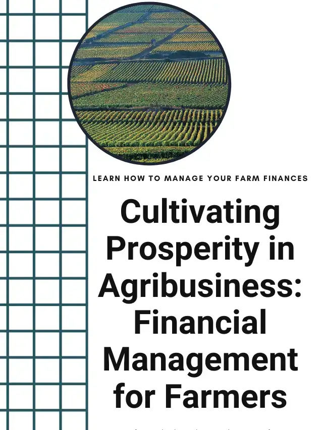 Financial Management for Farmers: Cultivating Prosperity in Agribusiness