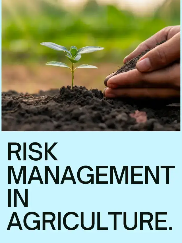 Risk Management in Agriculture: Weather insurance, crop diversification, and market hedging strategies