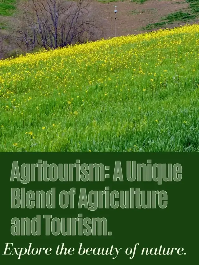 Exploring the Beauty of Agritourism: A Unique Blend of Agriculture and Tourism