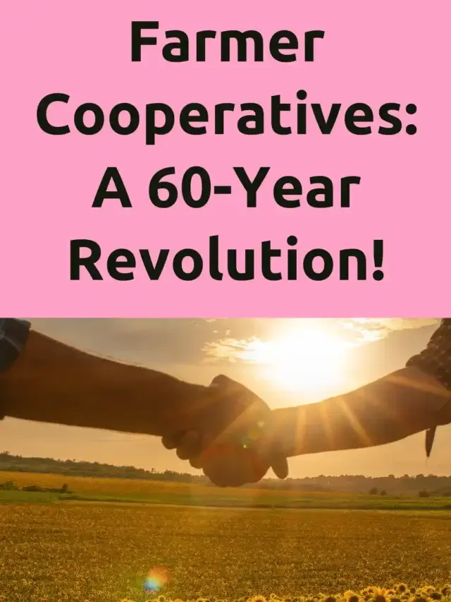 Farmer Cooperatives: Revolutionizing Agriculture for 60 Years