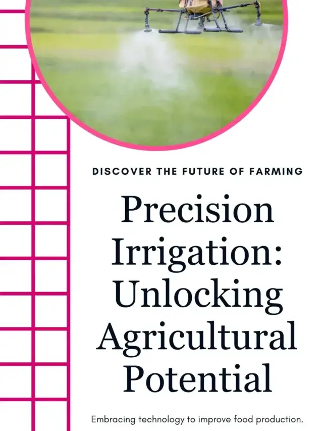Precision Irrigation: Revolutionizing Agriculture for a Sustainable Future
