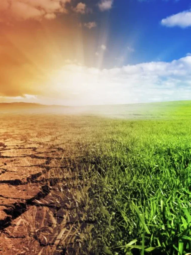 The Impact of Weather on Karnataka’s Agricultural Yields