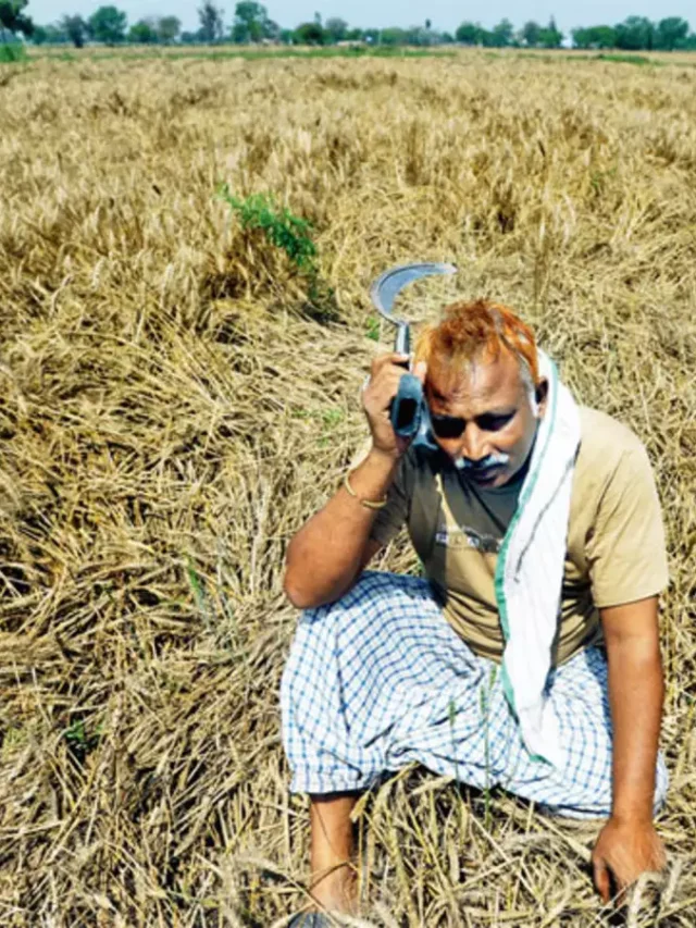 Crop Insurance Schemes for Karnataka Farmers